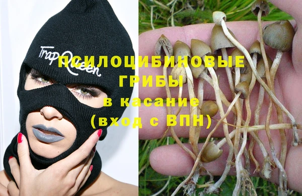 дмт Карталы
