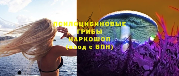 каннабис Каменногорск