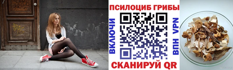 Галлюциногенные грибы Cubensis  Александровское 